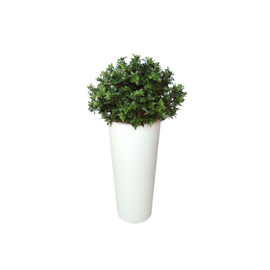 Planta semi-artificiala Ila, Buxus UVR Bush Green - 130 cm