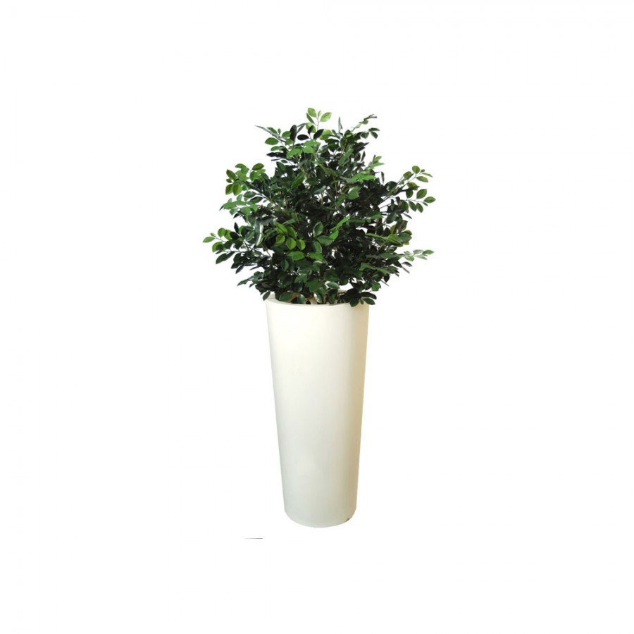 Planta semi-artificiala Ila, Ficus Ginseng UVR Bush Green - 150 cm