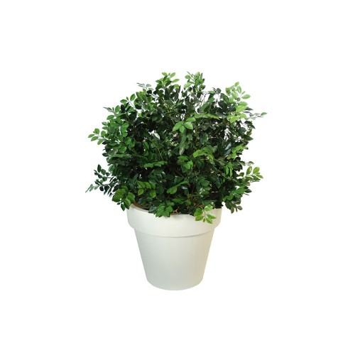 Planta semi-artificiala Ila, Ficus Ginseng UVR Buch Lux Green - 130 cm