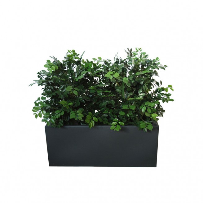 Planta semi-artificiala Ila, Ficus Ginseng UVR Fence Green - 110 cm