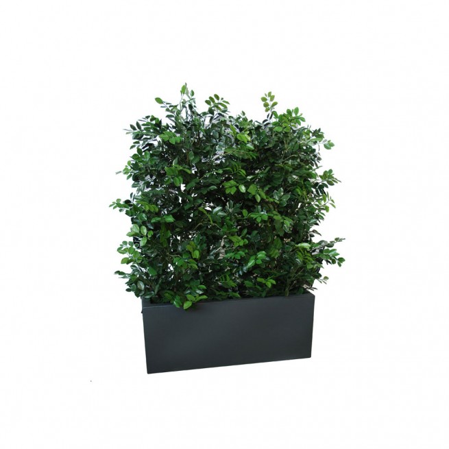 Planta semi-artificiala Ila, Ficus Ginseng UVR Fence Green - 160 cm