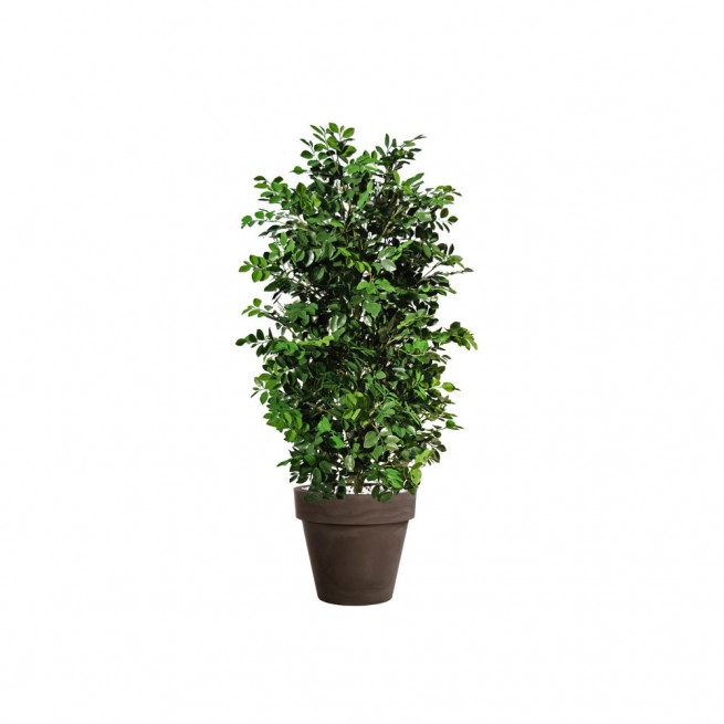 Planta semi-artificiala Ila, Ficus Ginseng UVR Plant Green - 160 cm