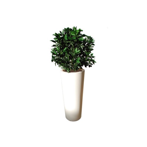 Planta semi-artificiala Ila, Laurel UVR Bush Green - 150 cm