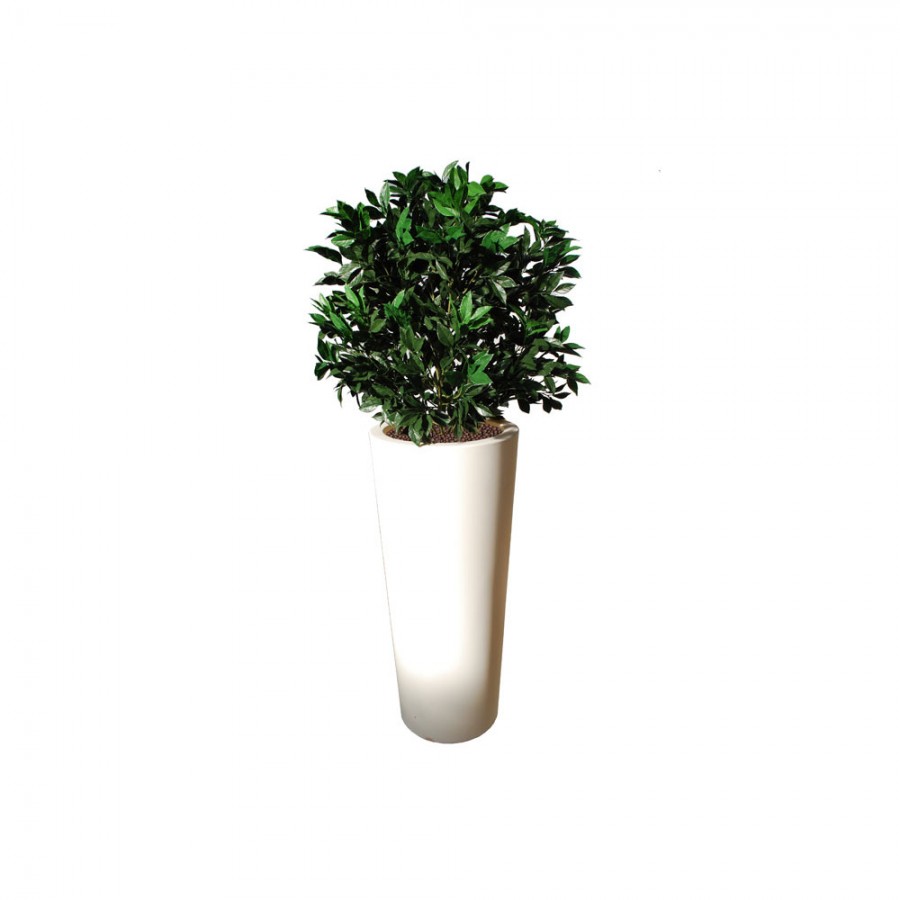 Planta semi-artificiala Ila, Laurel UVR Bush Green - 150 cm