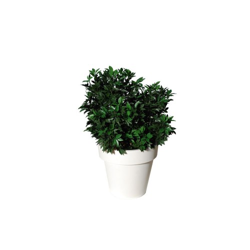 Planta semi-artificiala Ila, Laurel UVR Bush Lux Green - 130 cm