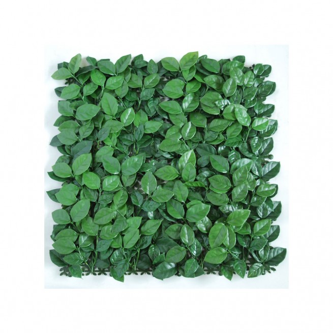 Planta semi-artificiala Ila, Mat Ficus Ginseng UVR Green - 50 x 50 cm