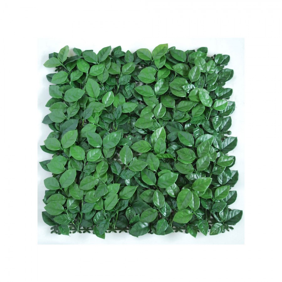 Planta semi-artificiala Ila, Mat Ficus Ginseng UVR Green - 50 x 50 cm