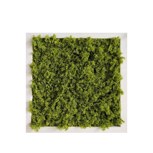 Planta semi-artificiala Ila, Mat Lichene UVR - 50 x 50 cm