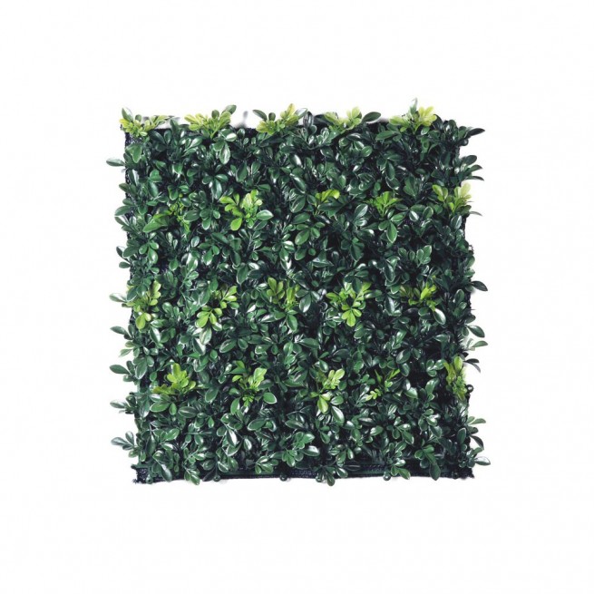 Planta semi-artificiala Ila, Mat Boxwood Green - 50 x 50 cm