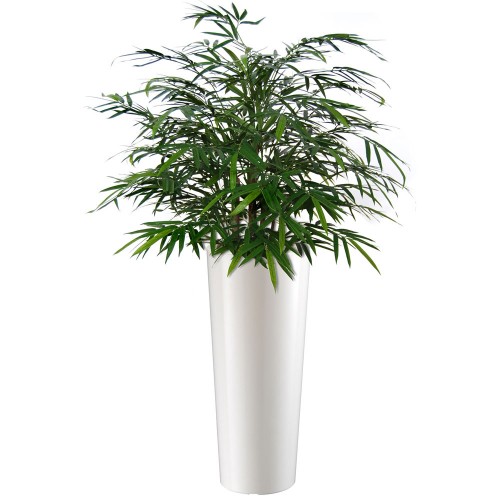 Planta semi-artificiala Ila, Bamboo Japanese Bush Green - 80 cm