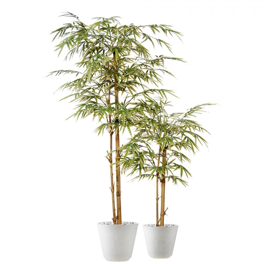 Planta semi-artificiala Ila, Bamboo Japanese Tree Variegated - 180 cm