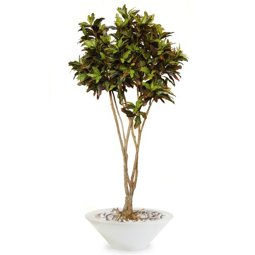 Planta semi-artificiala Ila, Croton Mash Root Multicolor - 250 cm