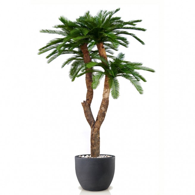 Planta semi-artificiala Ila, Cycas Baby Drago Green - 250 cm
