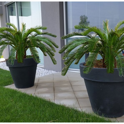 Planta semi-artificiala Ila, Cycas Palm Green - 160 cm