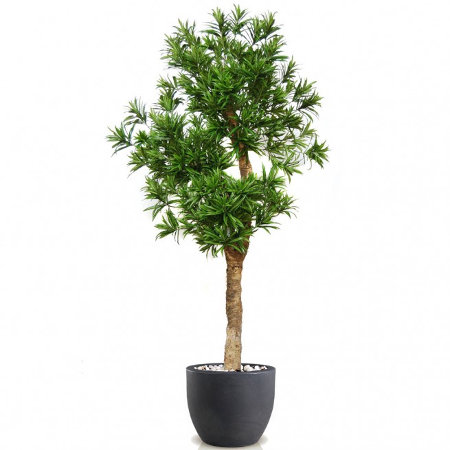 Planta semi-artificiala Ila, Dracena Reflexa Drago Green - 280 cm 