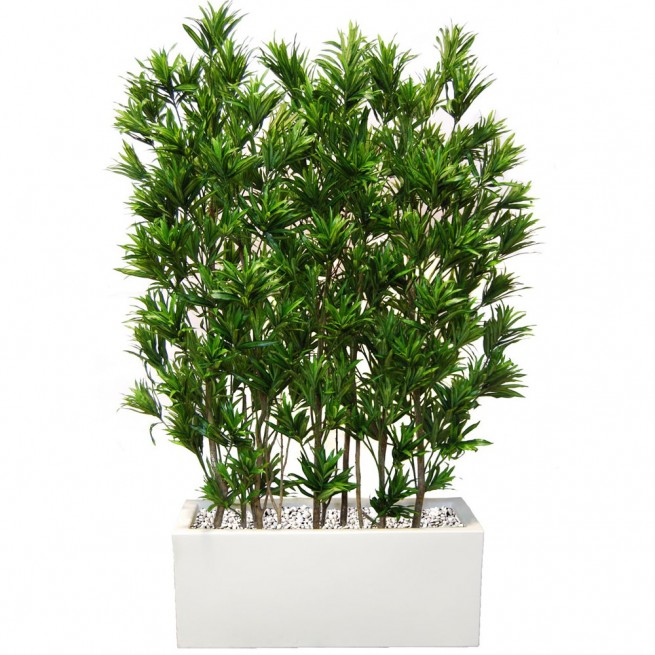 Planta semi-artificiala Ila, Dracaena Reflexa Fence - 180 cm