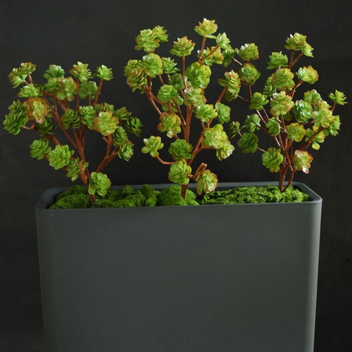 Planta semi-artificiala Ila, Echeveria Fence 1m - 130 cm