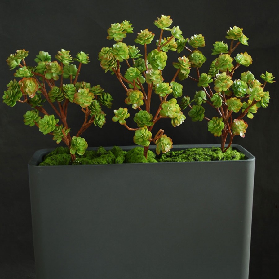 Planta semi-artificiala Ila, Echeveria Fence 1m - 130 cm