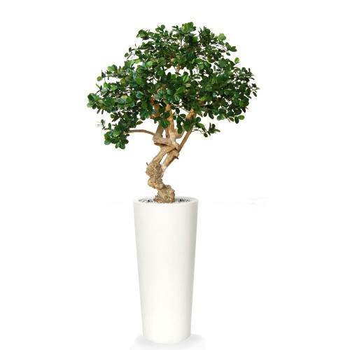 Planta semi-artificiala Ila, Ficus Panda Crown Green - 150 cm