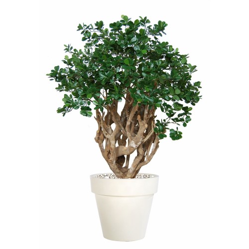 Planta semi-artificiala Ila, Ficus Panda Robusta Green - 160 cm