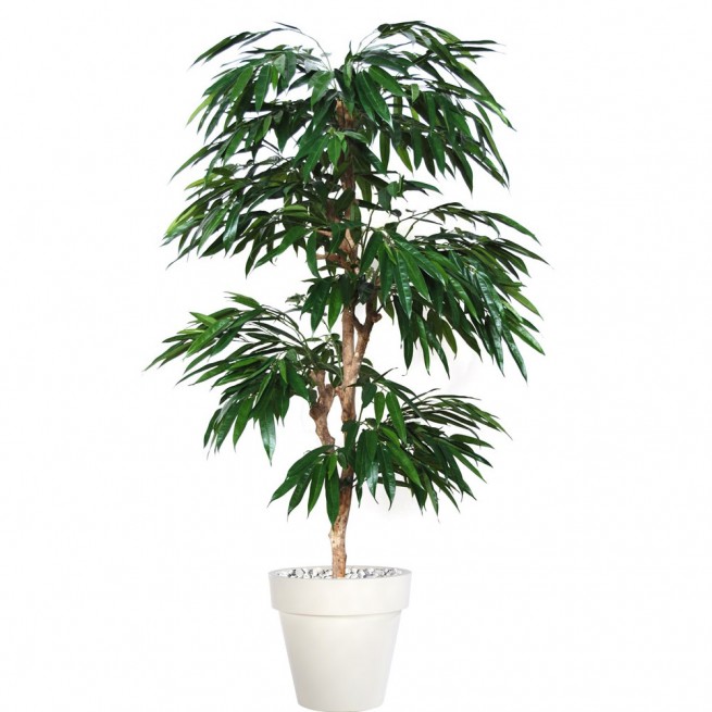 Planta semi-artificiala Ila, Longifolia Mutistep Green - 180 cm