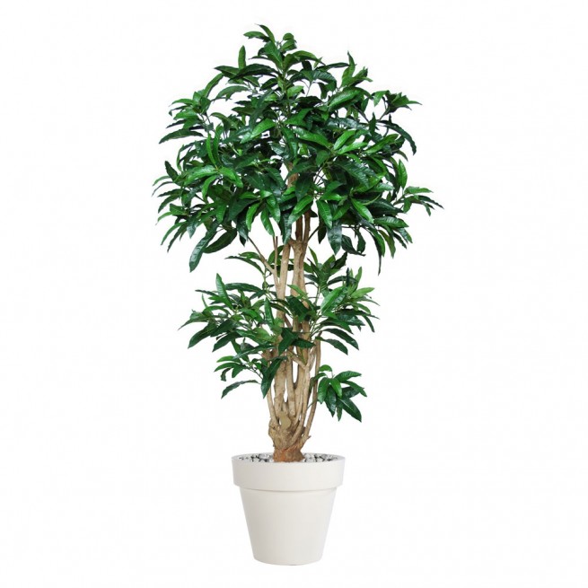 Planta semi-artificiala Ila, Mango Malabar Green - 180 cm