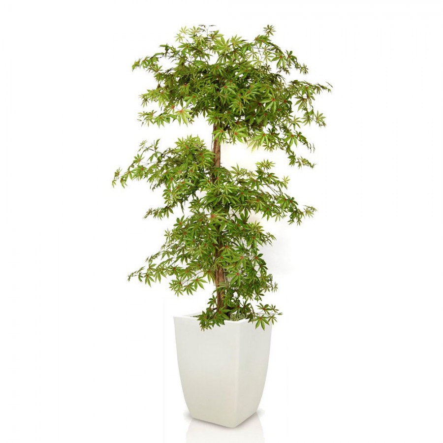 Planta semi-artificiala Ila, Maple Multistep - 180 cm