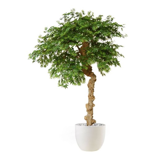 Planta semi-artificiala Ila, Maple Nidra - 250 cm