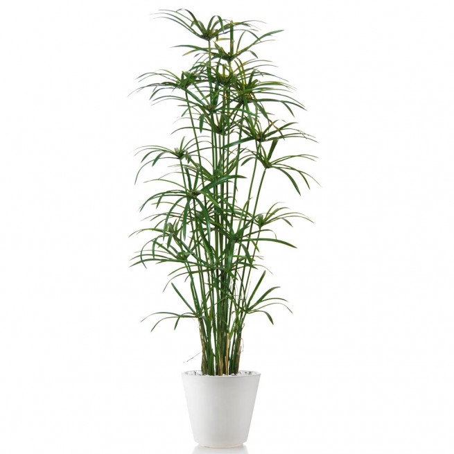 Planta semi-artificiala Ila, Papyrus Royal Lux Green - 190 cm