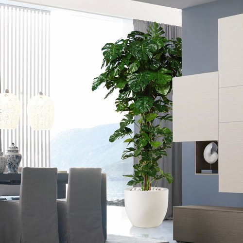Planta semi-artificiala Ila, Philo Split Climber - 250 cm