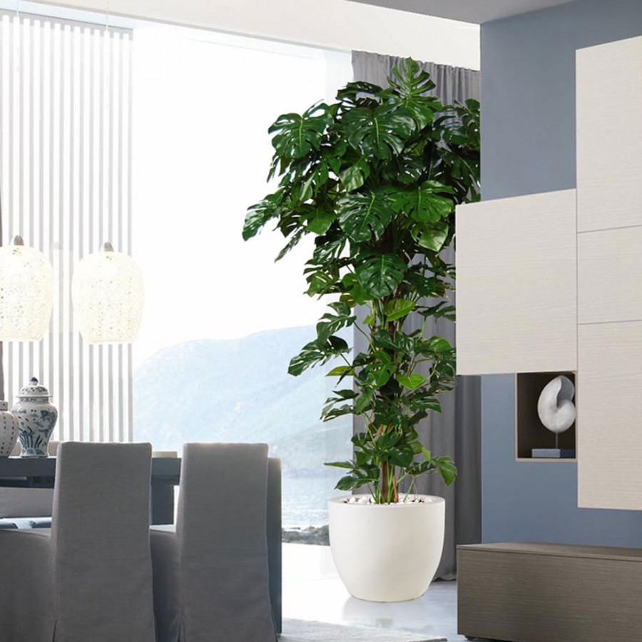 Planta semi-artificiala Ila, Philo Split Climber - 250 cm