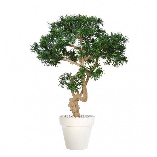 Planta semi-artificiala Ila, Podocarpus Crown - 150 cm