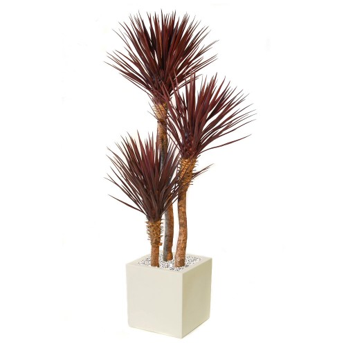 Planta semi-artificiala Ila, Yucca Linearis Burgundy - 200 cm